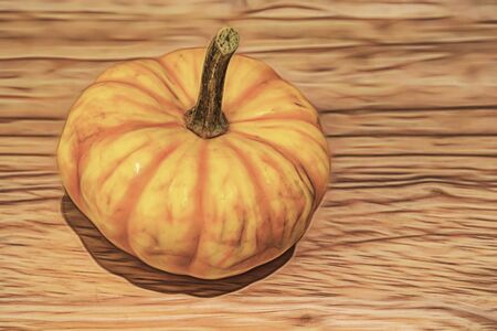 close up small pumpkinsの写真素材