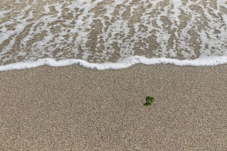 beach and waves on seaの写真素材