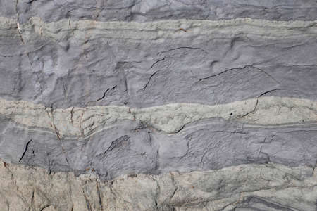rock surface shapes for background