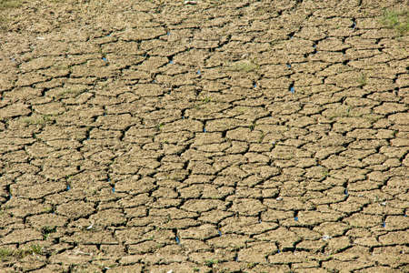 global warming and drought in nature
