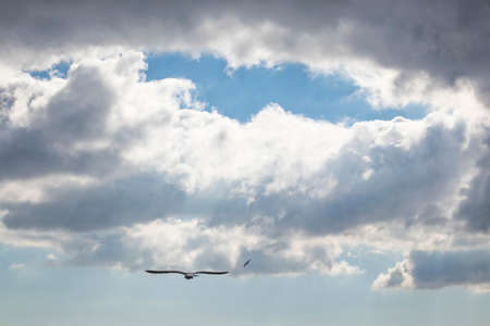 clouds in the blue skyの写真素材