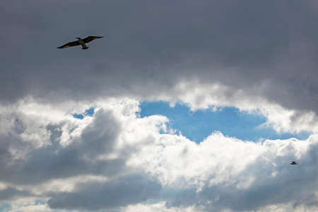 clouds in the blue skyの写真素材
