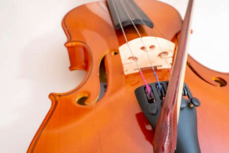 close up violin on white background