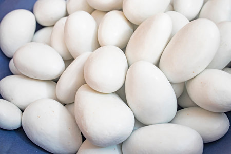 white dragee candy with almondsの写真素材