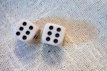 close up backgammon dice on white background