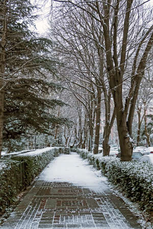 snow scene in winter season and nature.の写真素材