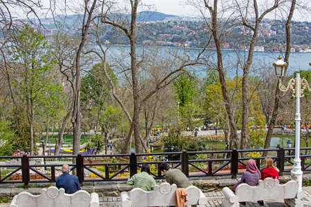 Emirgan, istanbul, Turkey-april 28,2021. Tulip festival organized in Istanbul.The tulip festival...