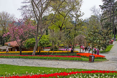 Emirgan, istanbul, Turkey-april 28,2021. Tulip festival organized in Istanbul.The tulip festival view from Emirgan park with its visitors in april and spring season.のeditorial素材