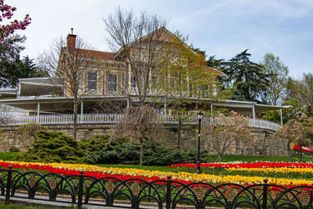 Emirgan, istanbul, Turkey-april 28,2021. Tulip festival organized in Istanbul.The tulip festival...