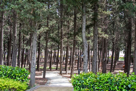 Halkali, istanbul, Turkey- May 20,2021.Spring view from Halkali public park with its nature, green areas and architectural beauties in istanbul.のeditorial素材