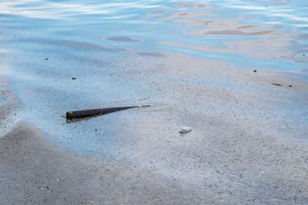 Environmental pollution in the sea and nature