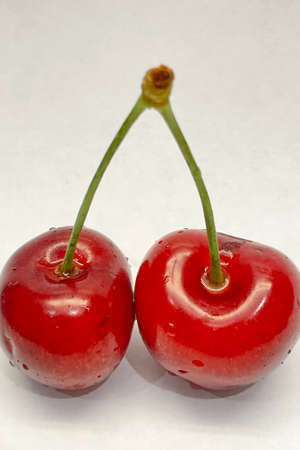 Cherry berries, the most popular fruit of the summer season.の写真素材