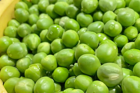 ready to cook pea seedsの写真素材