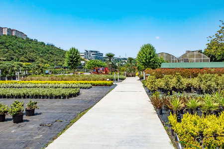 istanbul,july 11,2021.general view from istanbul metropolitan municipality garden market for customers.のeditorial素材