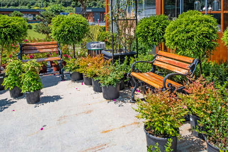 istanbul,july 11,2021.general view from istanbul metropolitan municipality garden market for customers.のeditorial素材