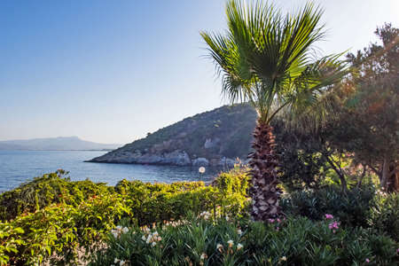 Kusadasi,Aydin,Turkey- July 19,2021.The view from Pinebay holiday village and resort in Kusadasi, in the sea and nature and summer session.のeditorial素材