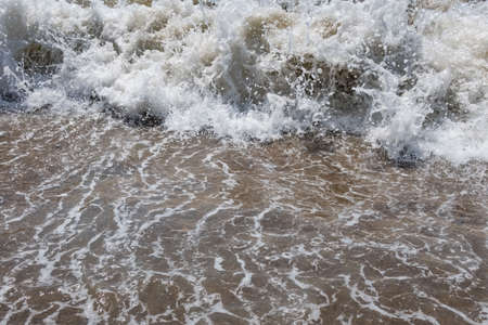 clear sea and waves on the shore in summer