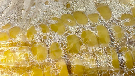 ready to eat corn on the cobの写真素材