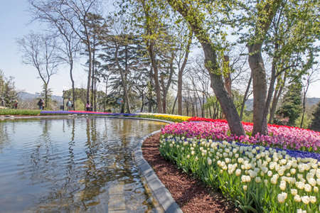Emirgan,istanbul,Turkey.April 20,2022.Istanbul Tulip Festival. Festival held in parks and groves in Istanbul with the theme of tulip season. Tulip festival views from Emirgan grove in Istanbulのeditorial素材