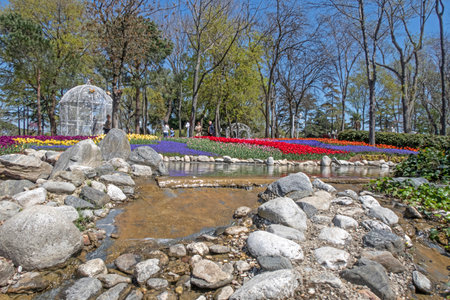 Emirgan,istanbul,Turkey.April 20,2022.Istanbul Tulip Festival. Festival held in parks and groves in Istanbul with the theme of tulip season. Tulip festival views from Emirgan grove in Istanbulのeditorial素材