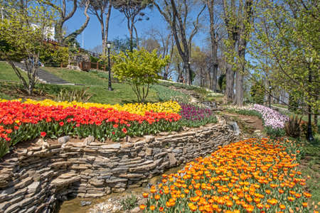 Emirgan,istanbul,Turkey.April 20,2022.Istanbul Tulip Festival. Festival held in parks and groves in Istanbul with the theme of tulip season. Tulip festival views from Emirgan grove in Istanbulのeditorial素材