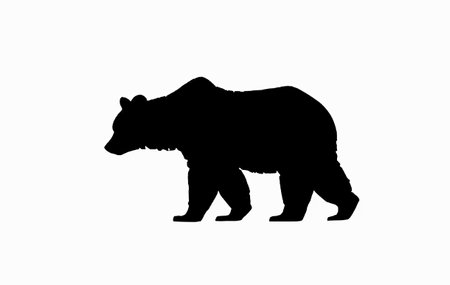 Silhouette of a bear on a white background. vector illustrationのイラスト素材