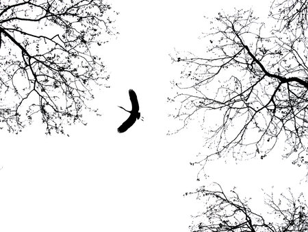 silhouette of a bird in the tree on a white backgroundのイラスト素材