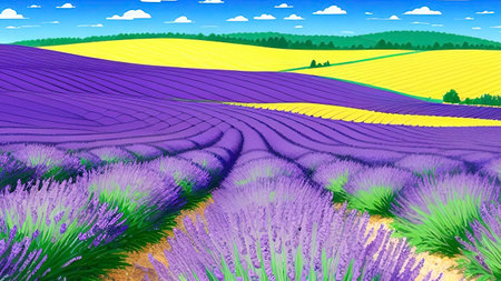 Lavender field in Provence, France. Illustration.lavender field on blue sky background.のイラスト素材