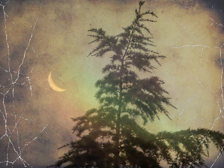 grunge image of christmas tree with moon in the backgroundの写真素材