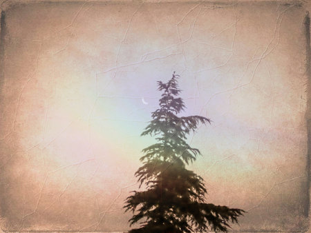 Grunge textured background with tree and moon. Toned.の写真素材