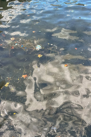 Garbage on the water surface. Wastes floating on the water surface. Environmental awareness and...