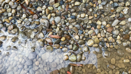 Pebbles in the water on the beach in the summer.の写真素材