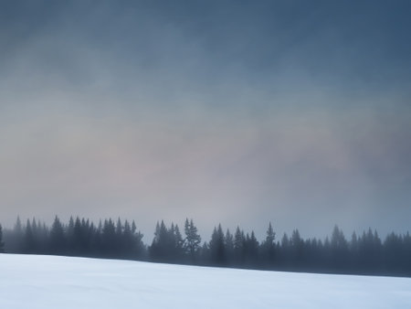 Foggy winter landscape with coniferous forest in the backgroundの素材