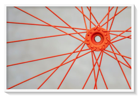 Bicycle wheel with red spokes on a white background. 3d renderingの写真素材