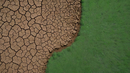 Dry cracked earth with green grass. 3D rendered illustration.の素材