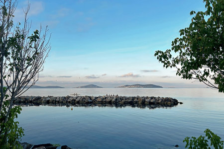 Sunset over the sea with rocks and trees on the foreground.