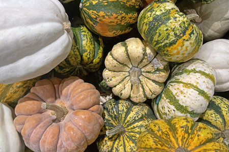 Colorful pumpkins and squashes for sale at the farmers market