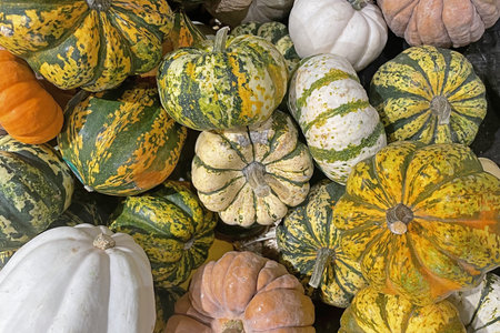 Variety of colorful pumpkins on display at a farmers market.の写真素材
