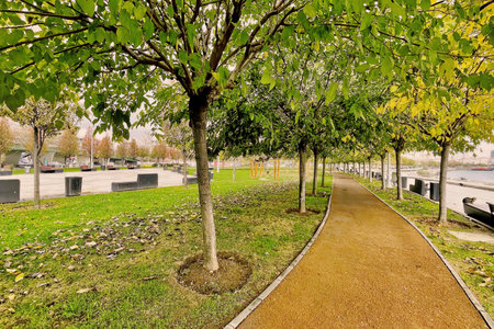 Alley in the park with green trees and walkways.Walkway in the park on the seashore in...