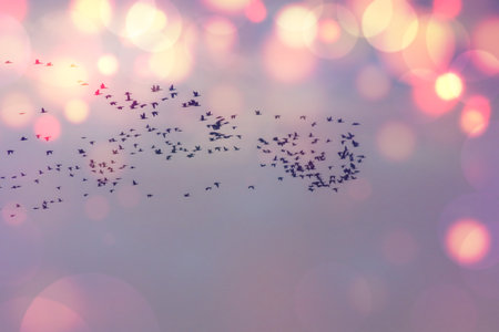 flock of birds flying in the sky on bokeh backgroundの写真素材