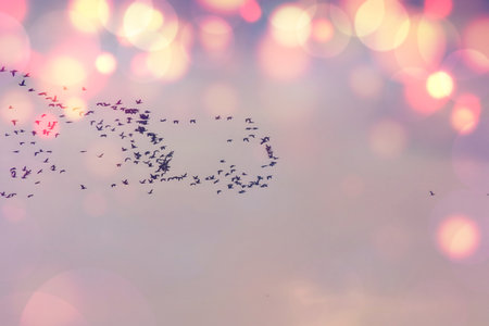 abstract bokeh background, bokeh background, bokeh background