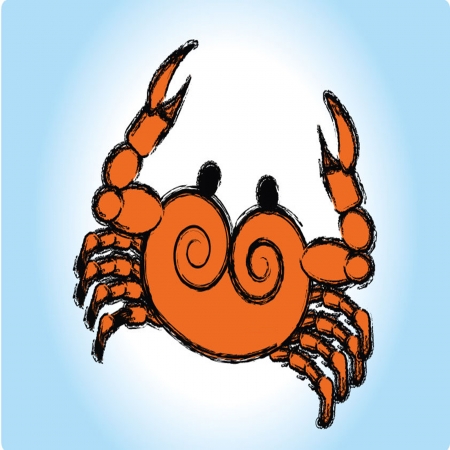 Crab illustrationのイラスト素材