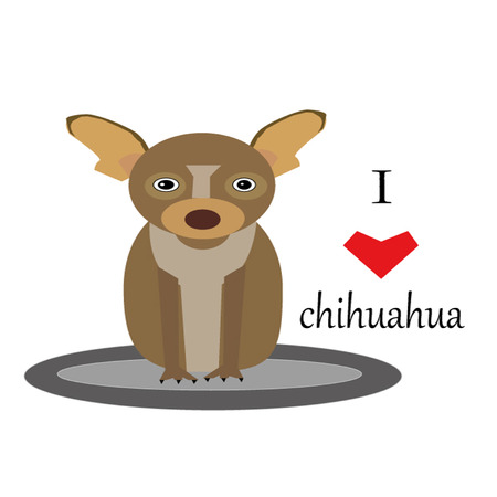 Chihuahua Illustrationのイラスト素材