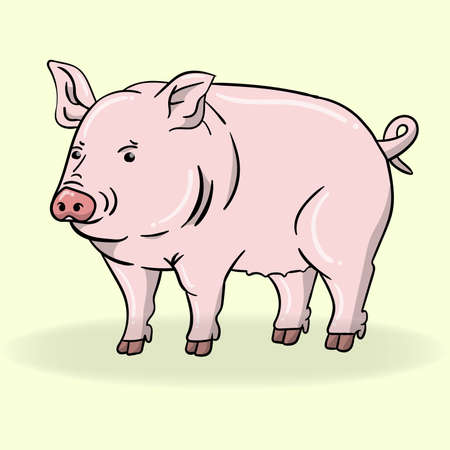 cartoon pig illustration and vectorのイラスト素材