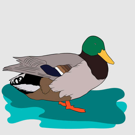 cute cartoon duck with fish illustrations and vectorsのイラスト素材
