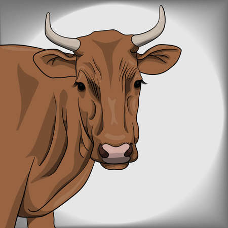 brown cow illustration and vectorのイラスト素材