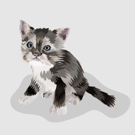 cat isolated realistic hand drawn vector and illustrations white backgroundのイラスト素材