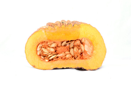 pumpkin isolated on white backgroundの写真素材