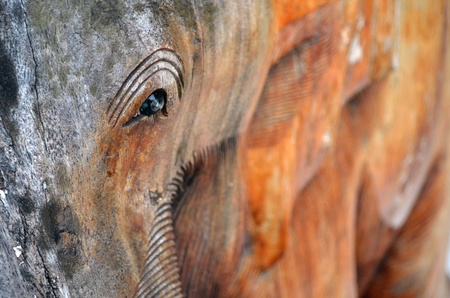 Old wooden eyeの写真素材