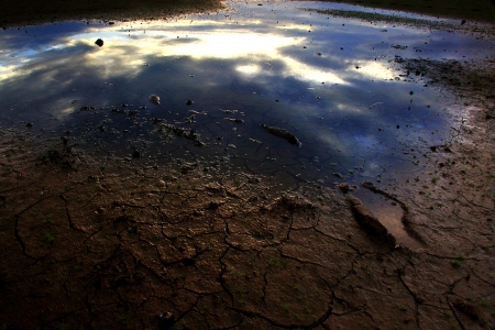 Reflectionの写真素材